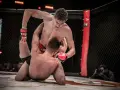 Waga półciężka: Ile kg w MMA i boksie? Zaskakujące różnice!