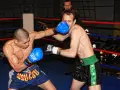 Waga musza: Ile kg? Limity w boksie, MMA i różnice federacji
