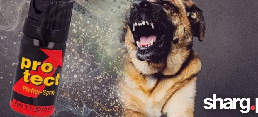 Jaki gaz pieprzowy na psy? Wybierz skuteczny i bezpieczny!