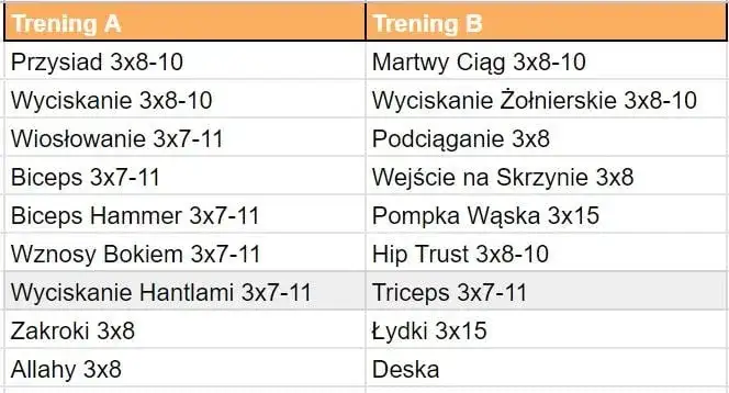 przykładowy plan treningowy FBW dla początkujących
